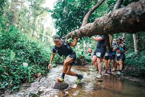 BIB: 
                            <button type="button" onclick="openModal(25371645)" class="btn btn-primary btn-sm float-right btn-popup" data-toggle="modal" data-target=".modal-high-quality">
                        <i class="fas fa-shopping-cart"></i> Add to Cart
                    </button>
                                            <button type="button" onclick="isThisMe(25371645, true)" class="btn btn-success btn-sm float-right btn-popup btn-isme hidden" data-toggle="tooltip" data-placement="bottom" title="นี่คือรูปของคุณใช่ไหม คลิกที่นี่เพื่อเอาเข้าอัลบั้ม">
                        <i class="fas fa-plus"></i> Add to album
                    </button>
                    <button type="button" onclick="isThisMe(25371645, false)" class="btn btn-warning btn-sm float-right btn-popup btn-isnotme hidden">
                        <i class="fas fa-ban"></i> Remove from album
                    </button>